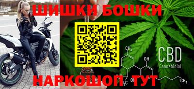 гидра Кандалакша