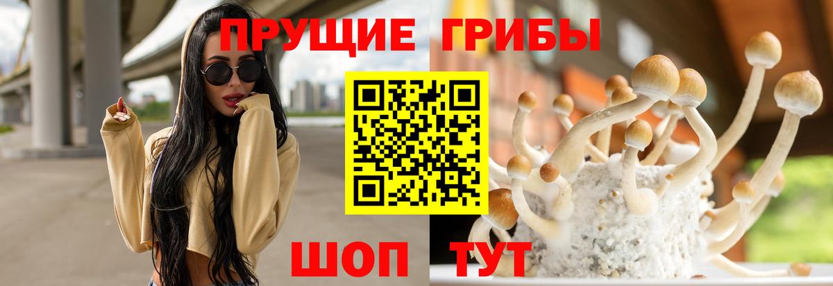 Псилоцибиновые грибы мицелий  Вход с VPN  Курганинск 