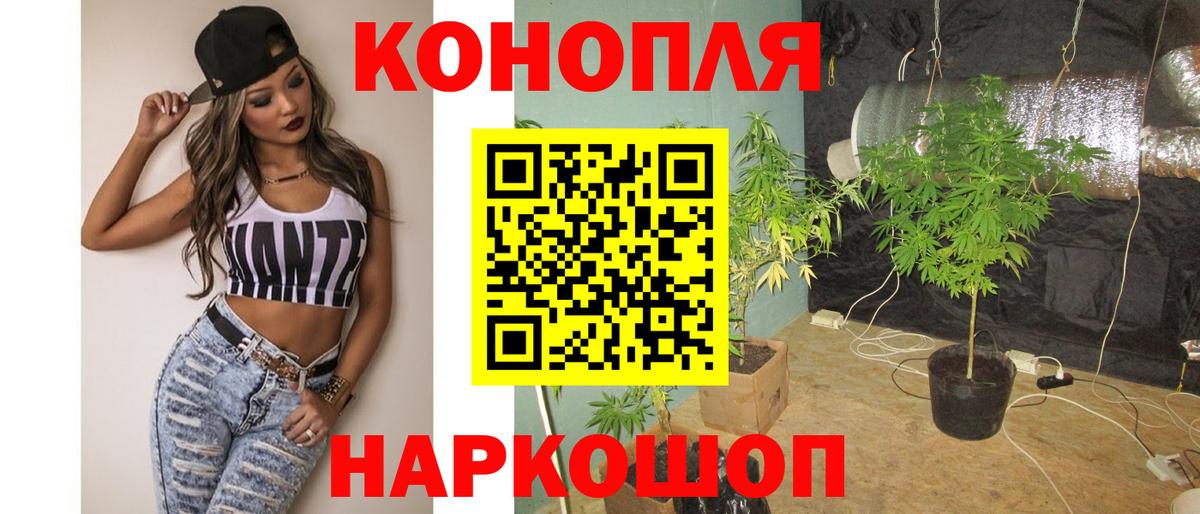 Бошки марихуана White Widow Курганинск